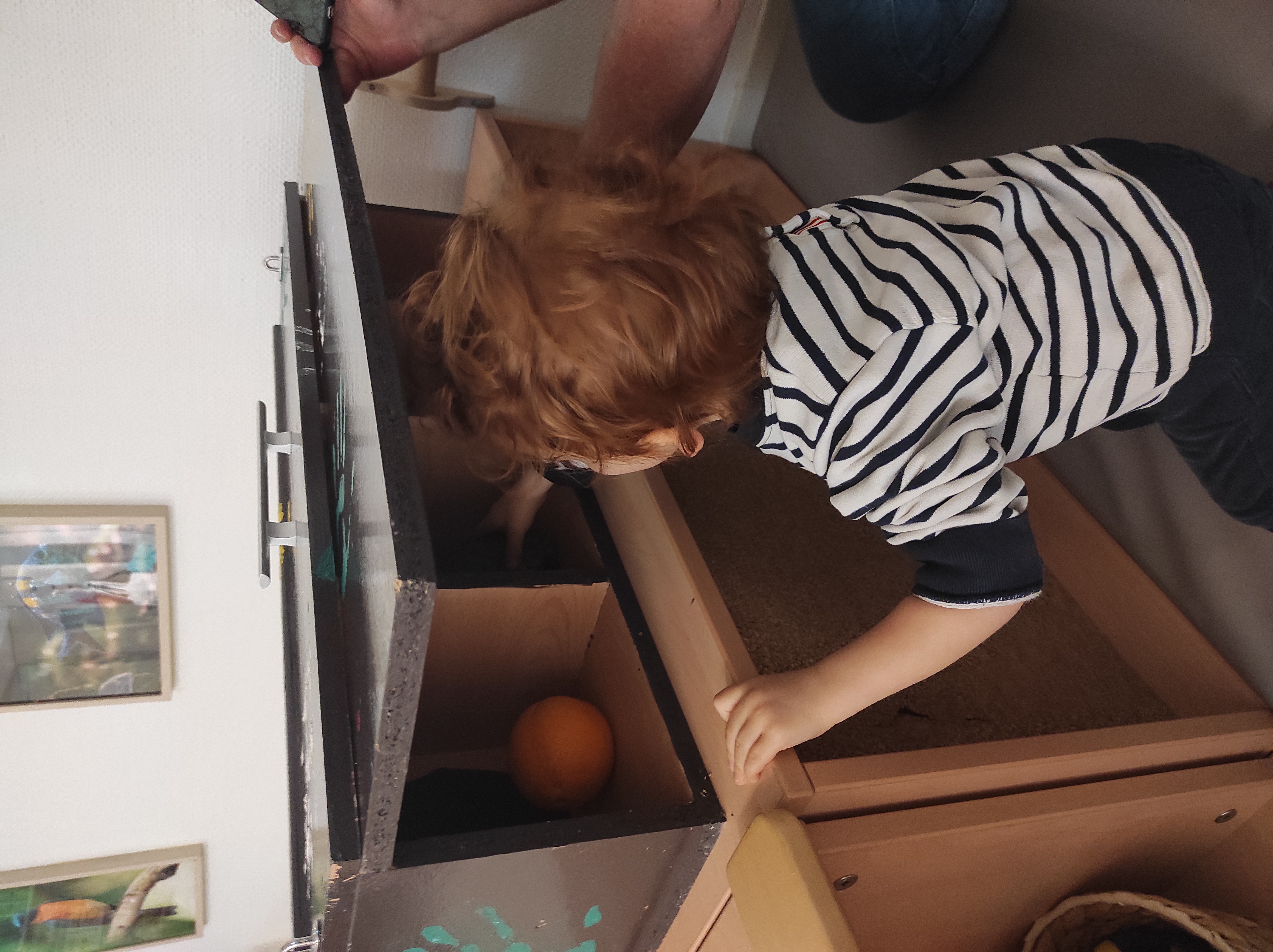 Atelier d'éveil sensoriel tactile pour la petite enfance avec découverte de fruits - Alimentation Éclairée